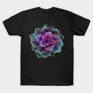 Suculenta Echeveria Rainbow T-Shirt